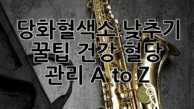 당화혈색소 낮추기 꿀팁🍯 건강 혈당 관리 A to Z